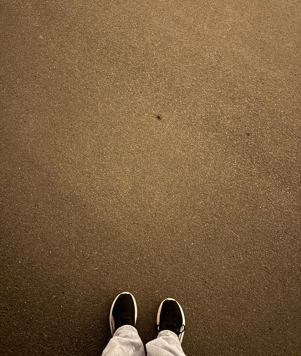IMG_7365.jpeg
