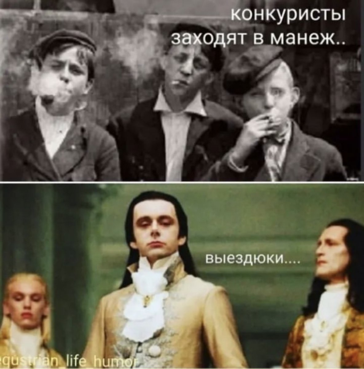 IMG_7517.jpeg