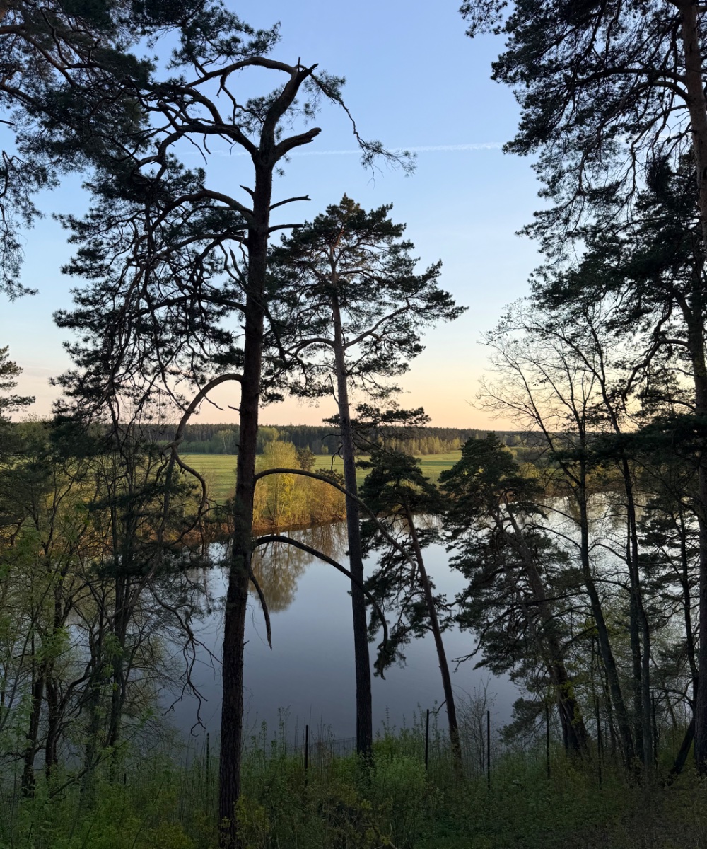 IMG_7593.jpeg