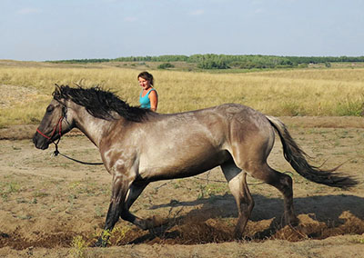 IMG_7597 копия.jpg