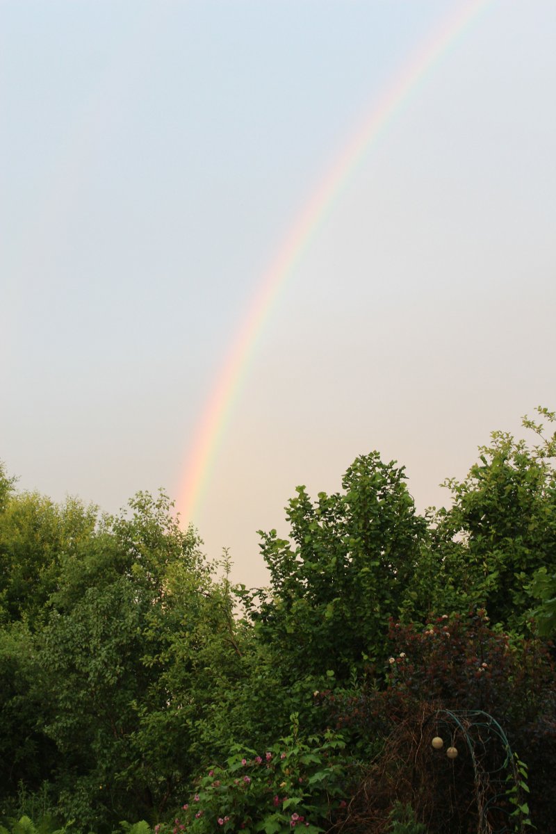IMG_7672.jpg
