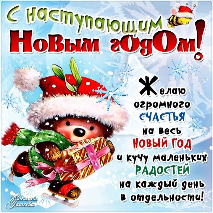 IMG_7825.JPG