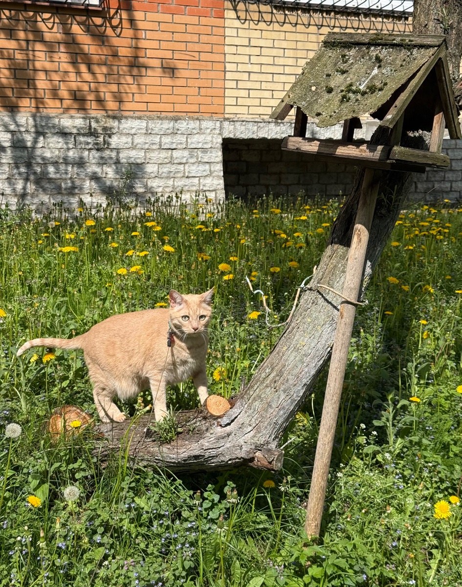 IMG_7911.jpeg