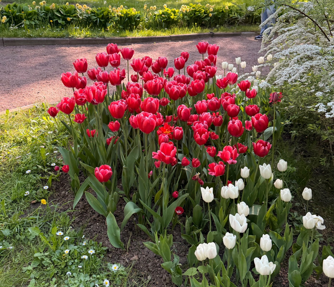IMG_7931.jpeg