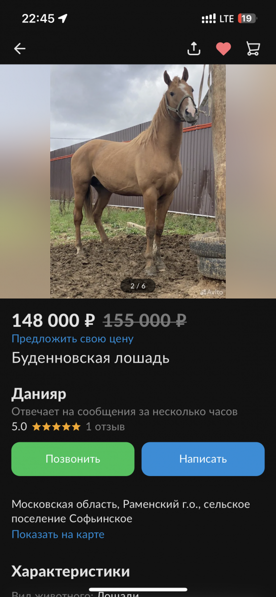 IMG_7994.png