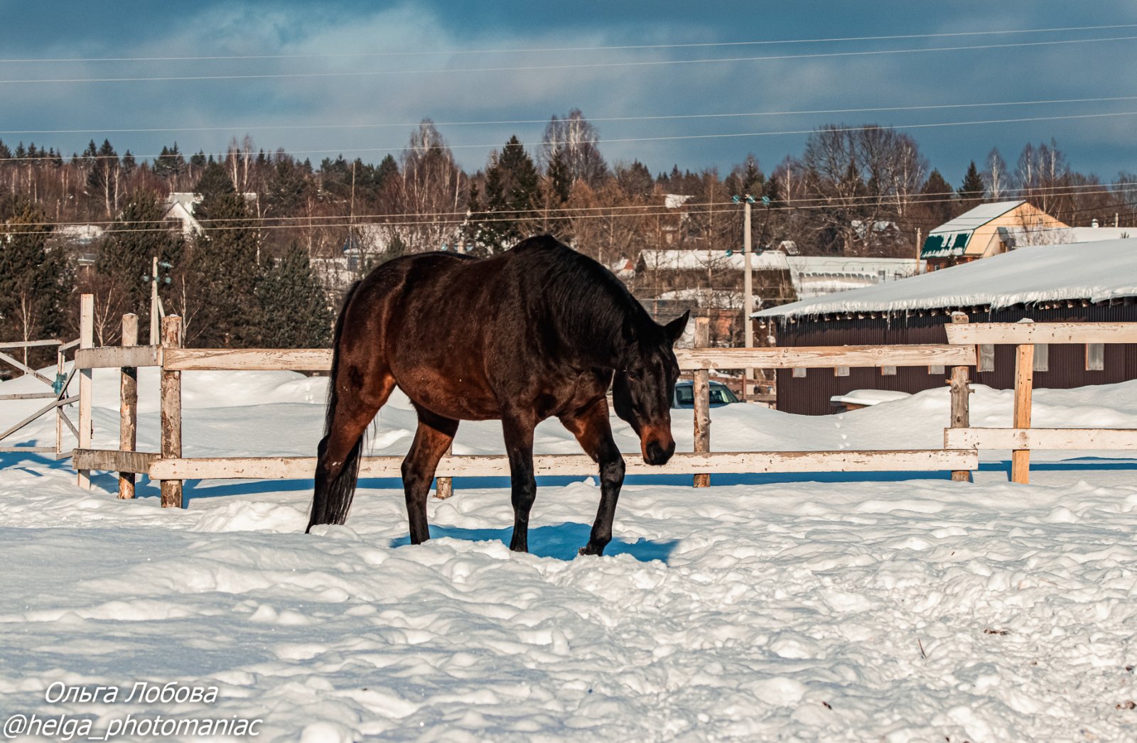 IMG_8067-2.jpg