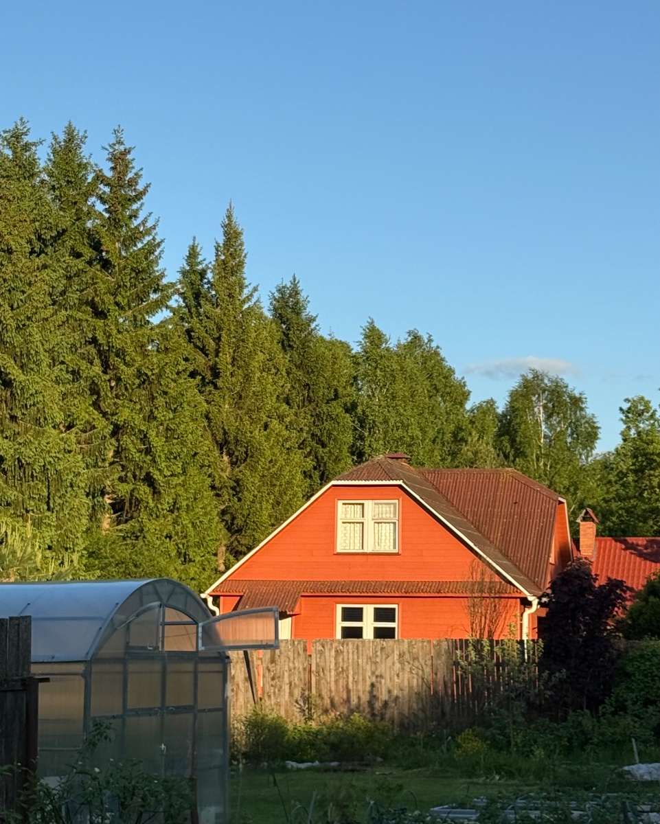 IMG_8116.jpeg