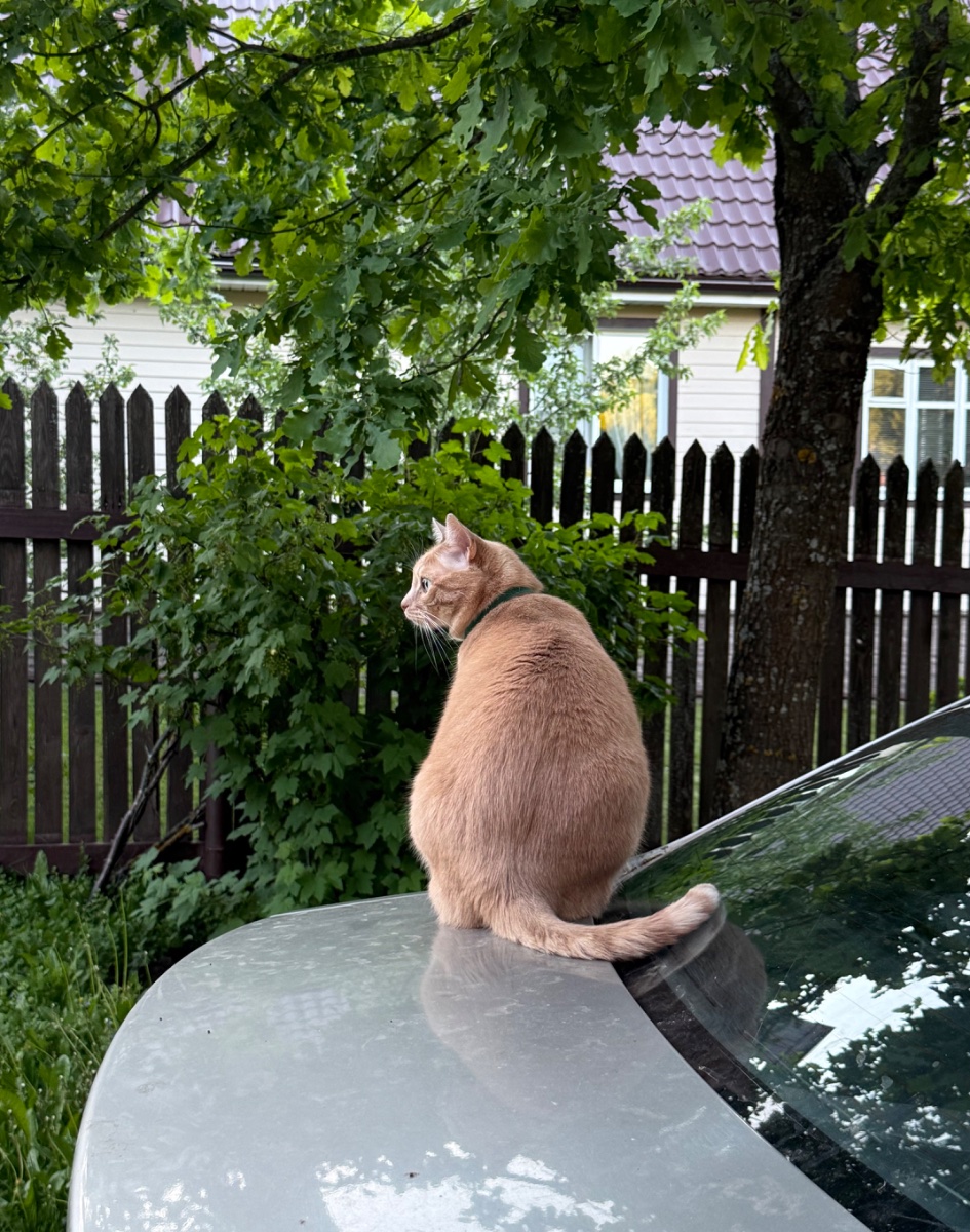 IMG_8138.jpeg