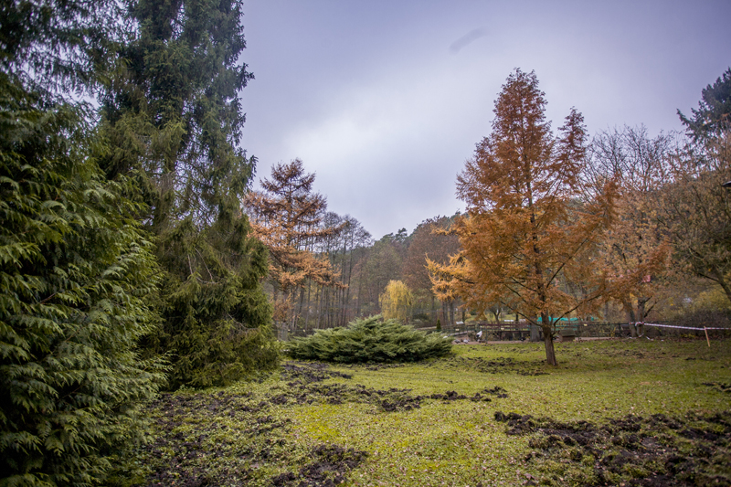 IMG_8186.jpg