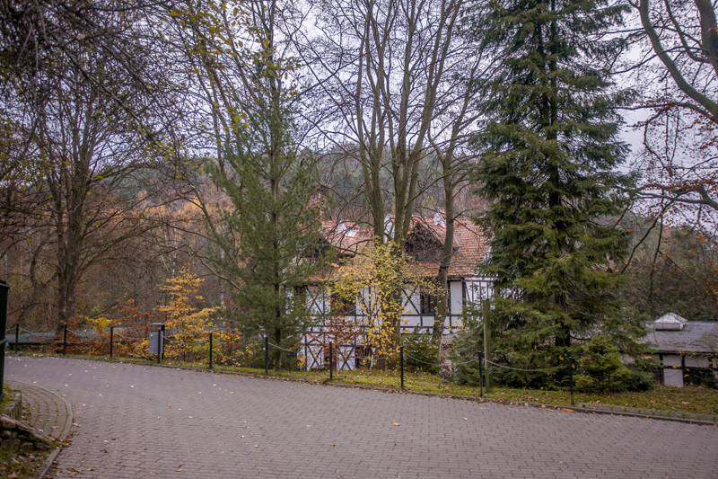 IMG_8191.jpg