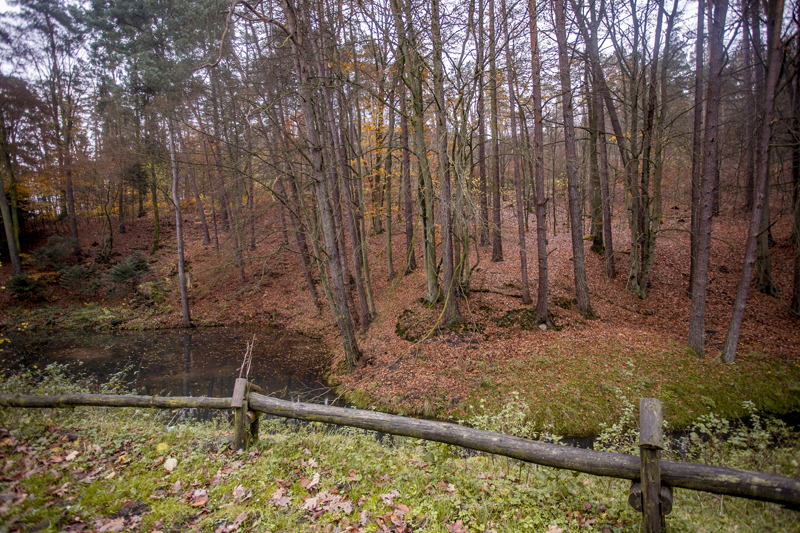 IMG_8205.jpg