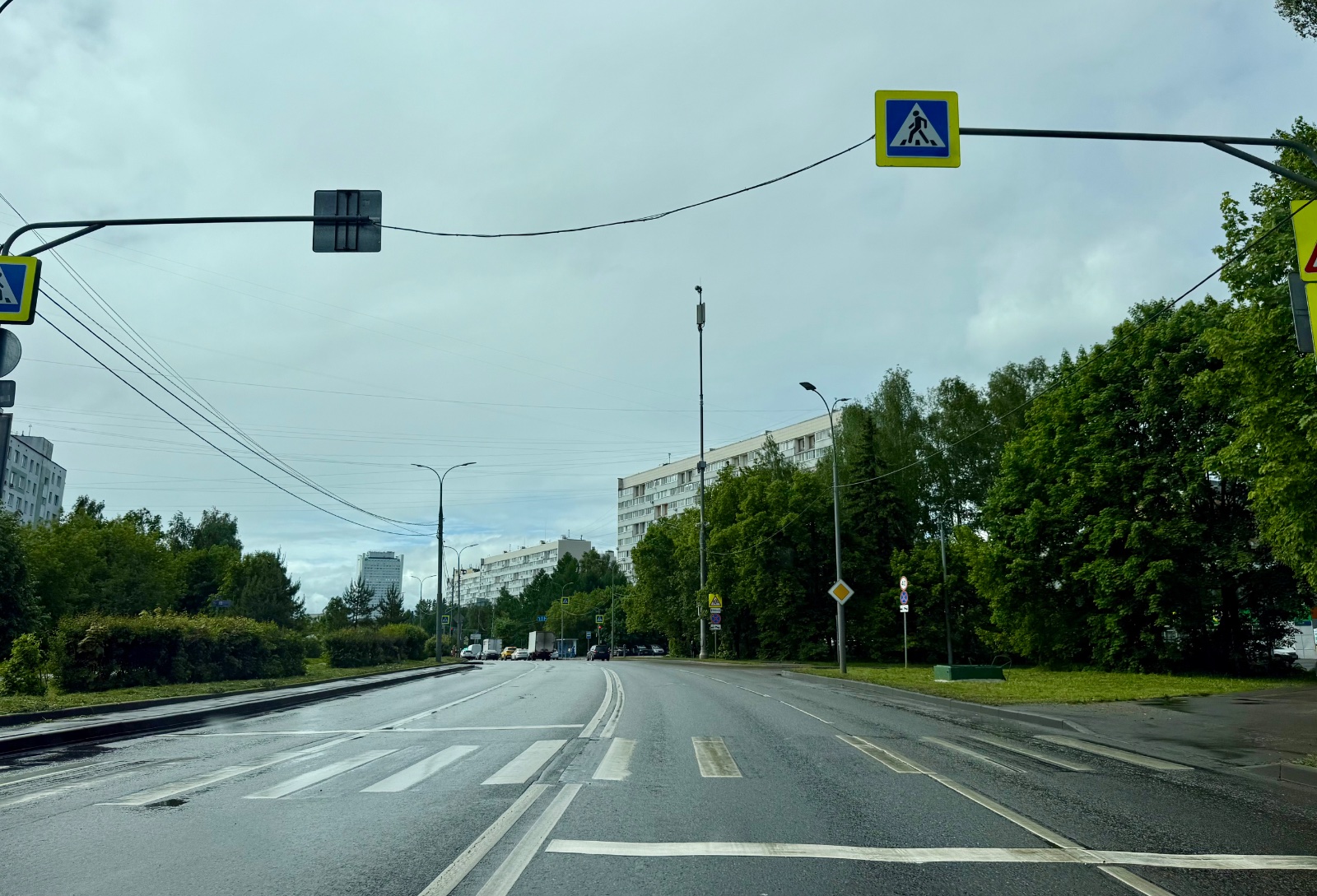 IMG_8280.jpeg