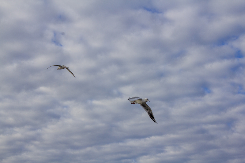 IMG_8304.jpg