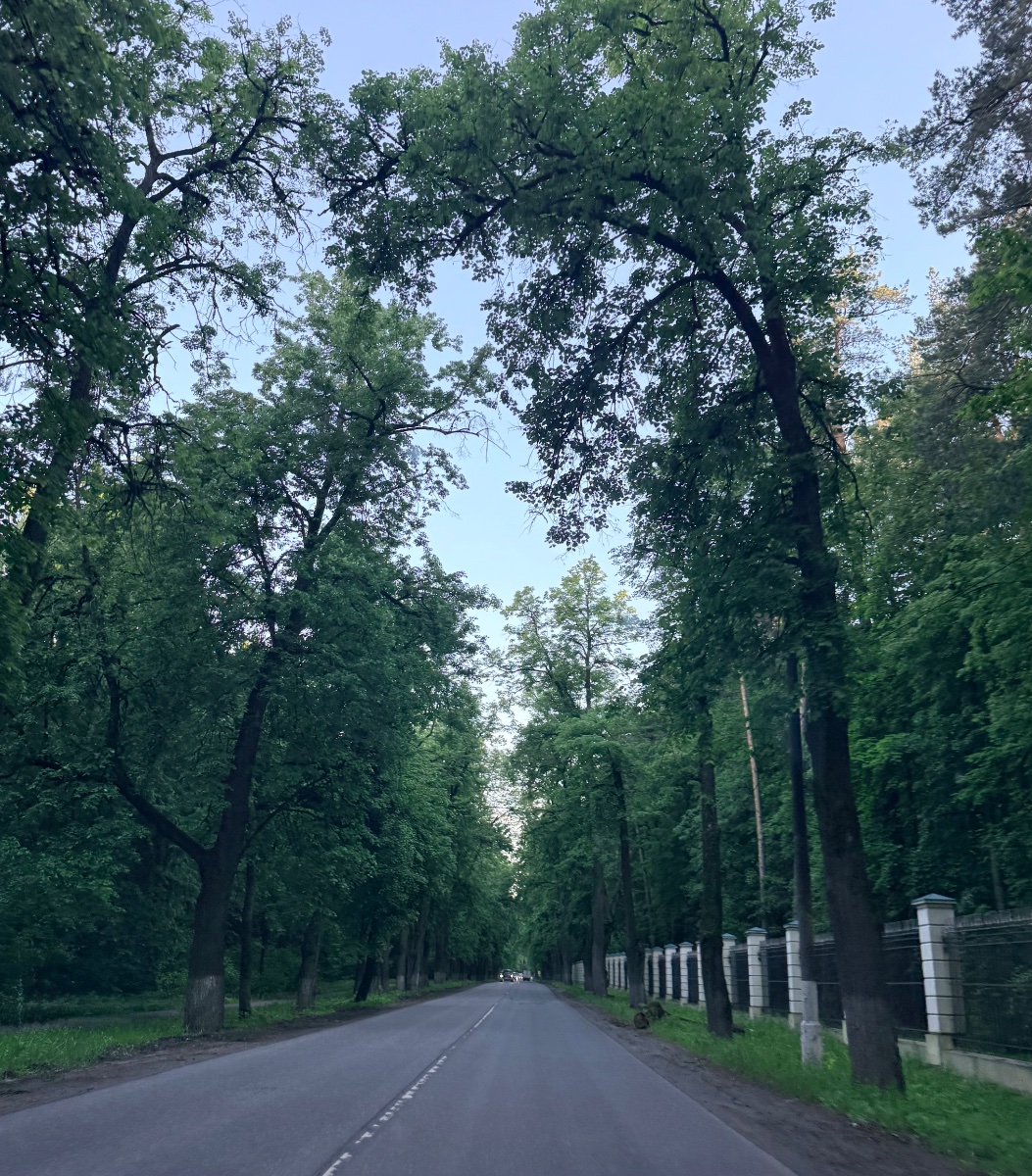 IMG_8367.jpeg