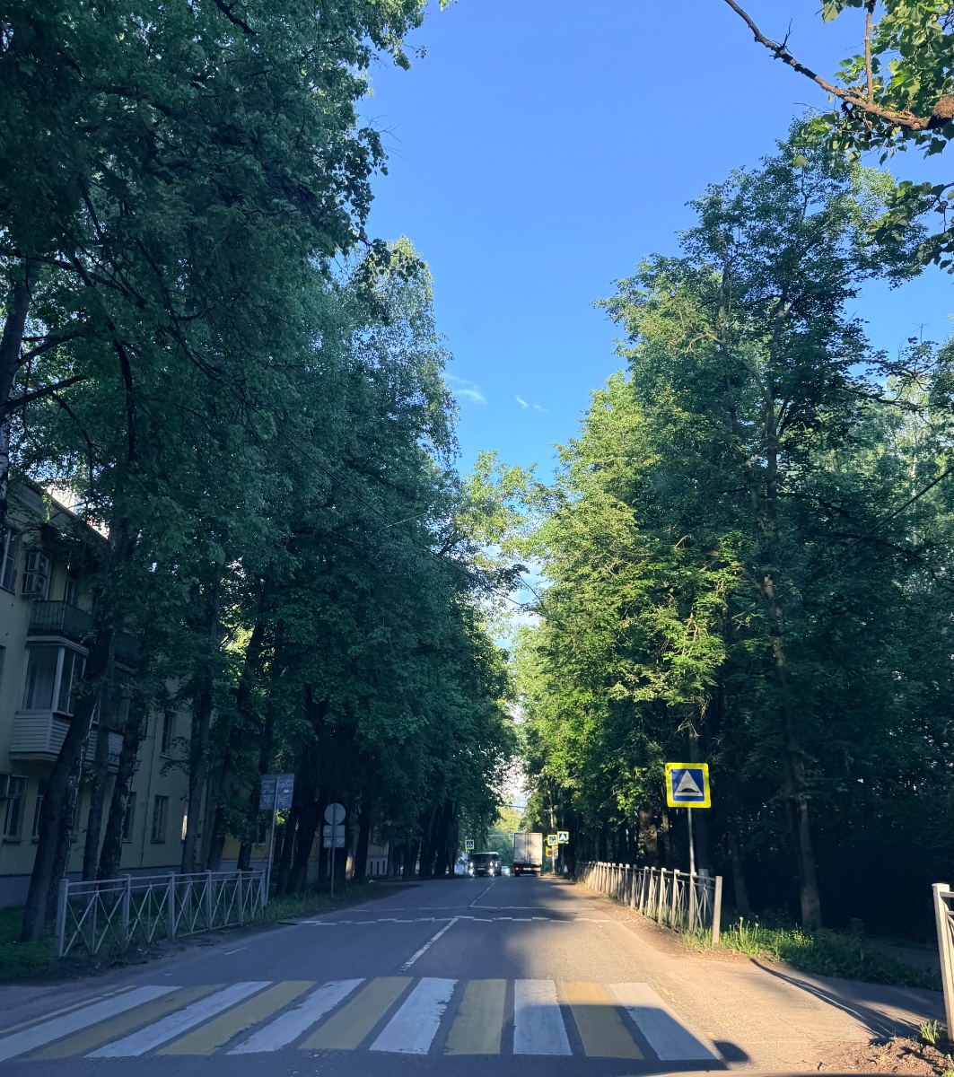 IMG_8370.jpeg