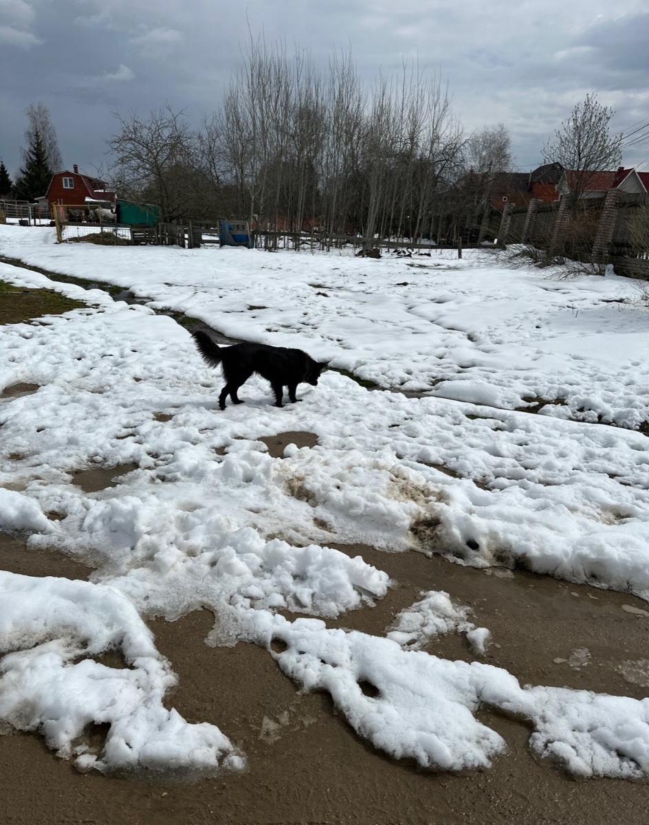 IMG_8410.jpeg