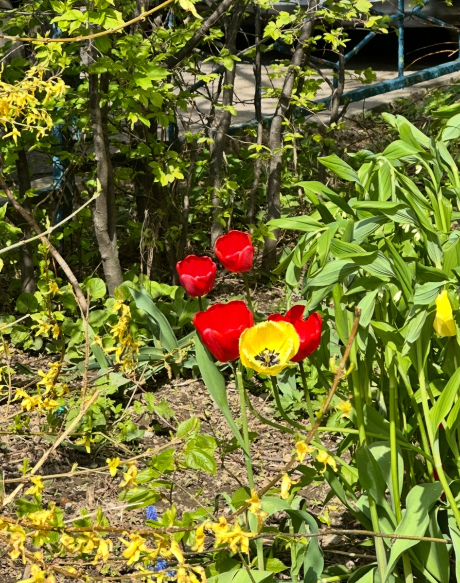 IMG_8462.jpeg
