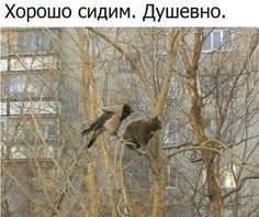 IMG_8494.JPG
