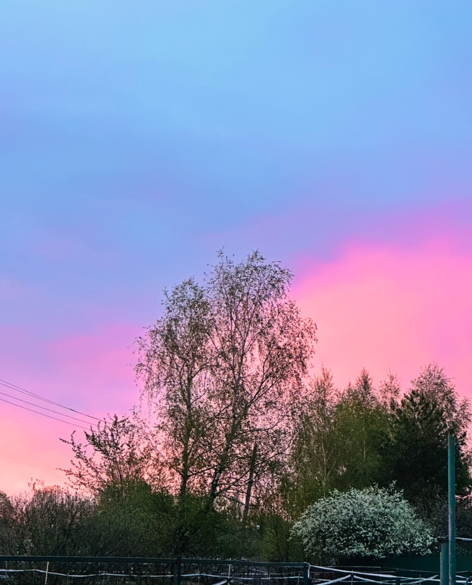 IMG_8515.jpeg