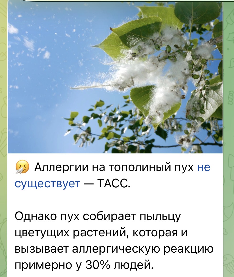 IMG_8516.jpeg