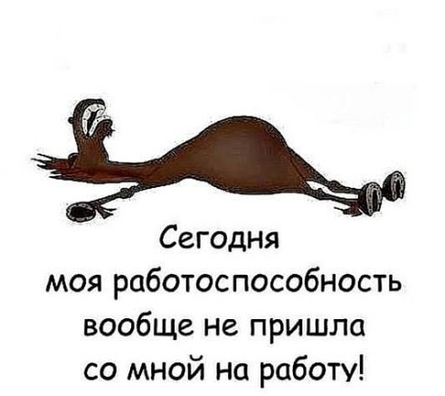 IMG_8527.JPG