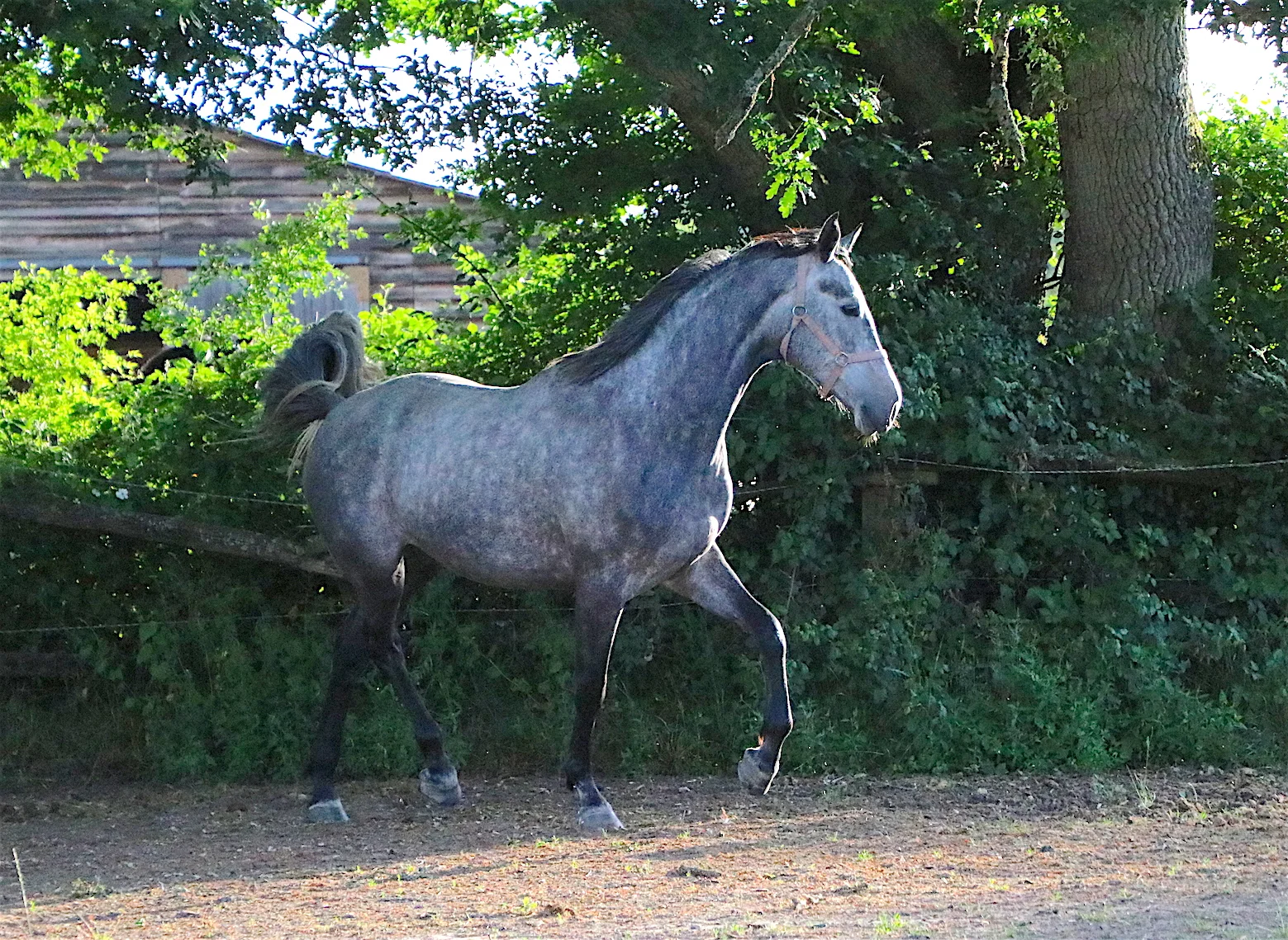 IMG_8544 - copie.webp