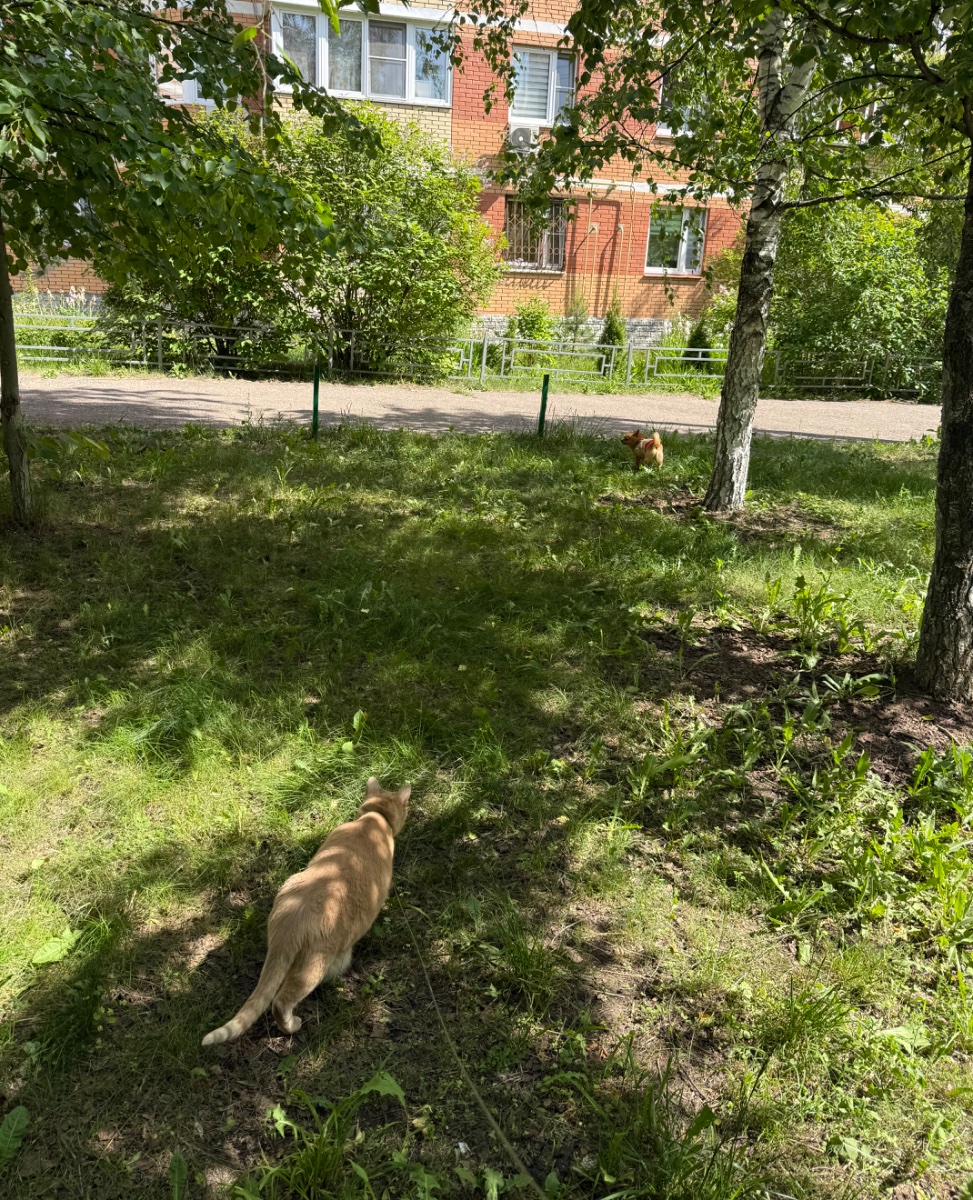 IMG_8614.jpeg