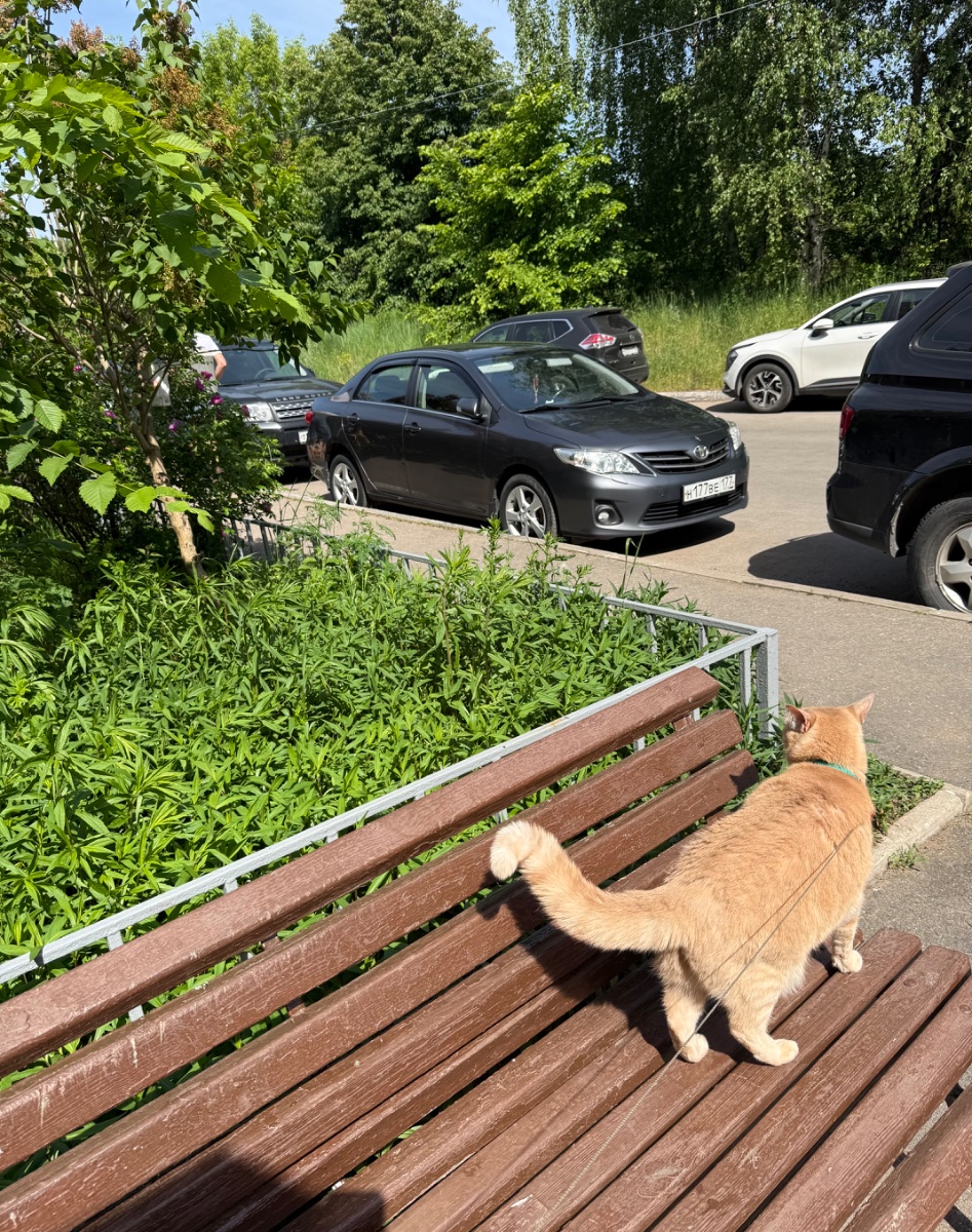 IMG_8618.jpeg