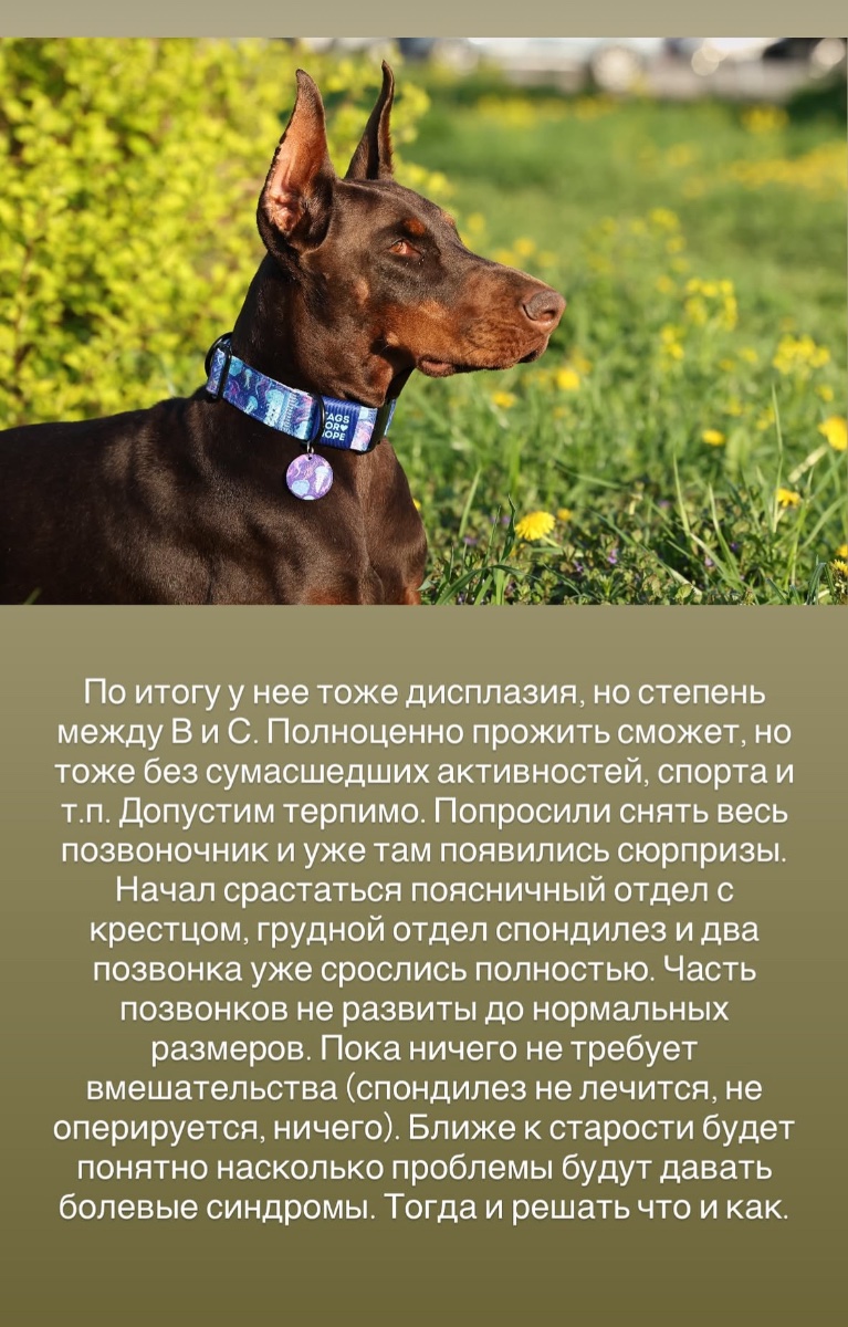 IMG_8641.jpeg