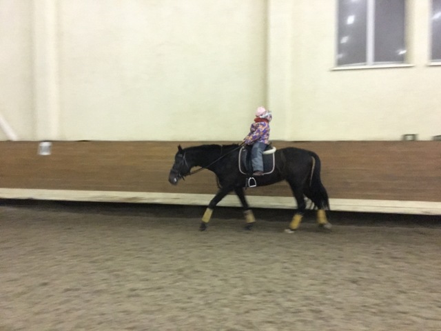IMG_8668.JPG
