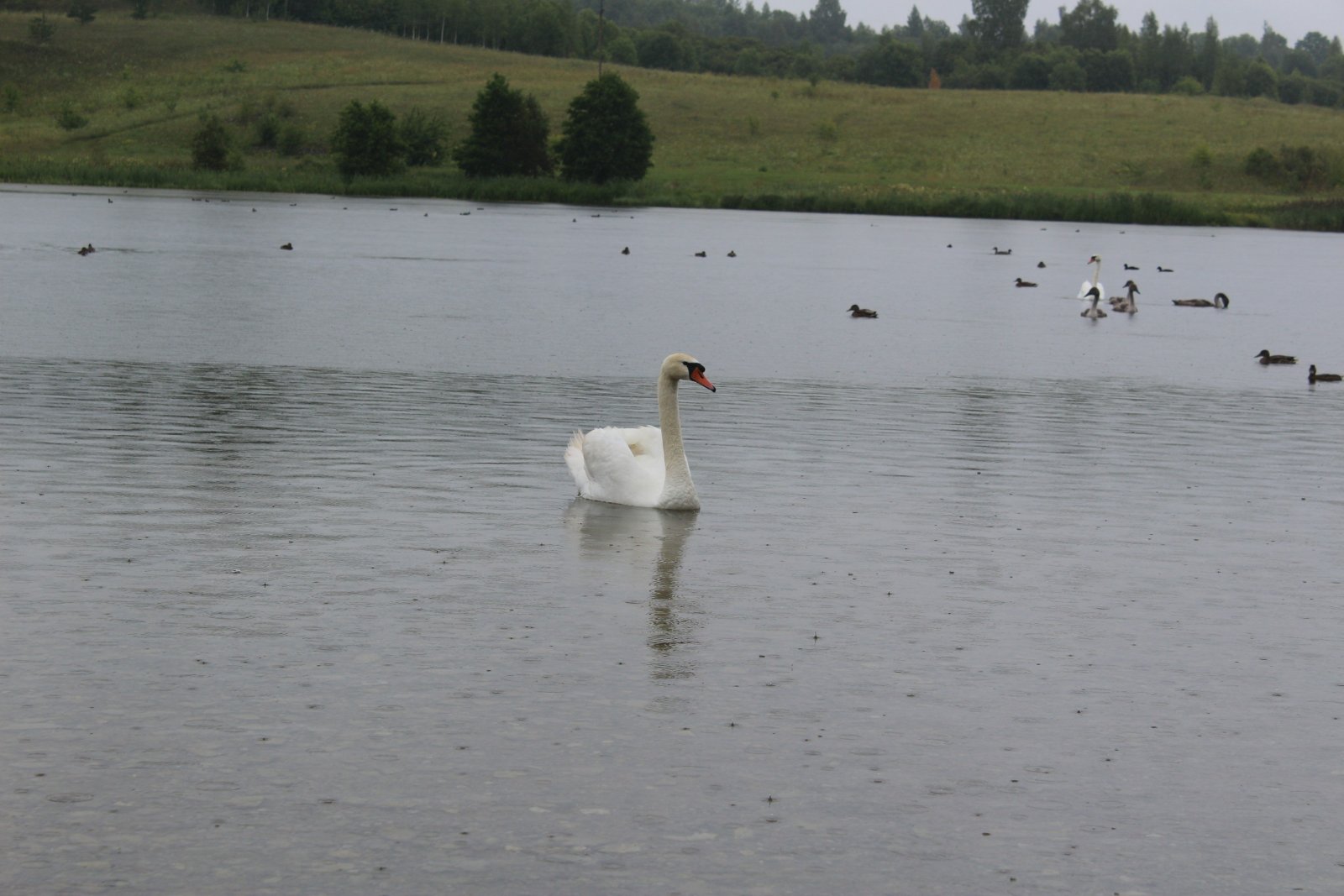 IMG_8673.jpg