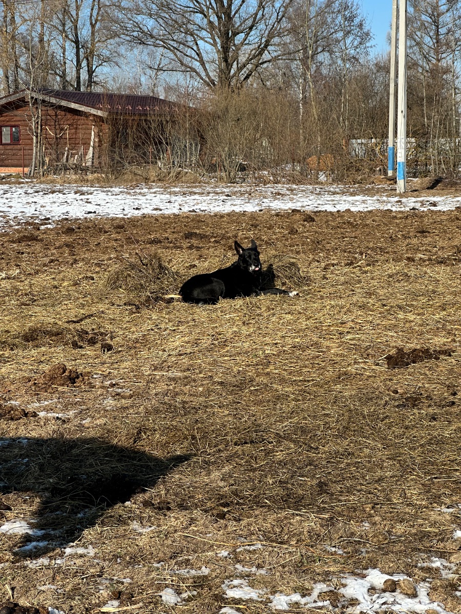 IMG_8723.jpeg