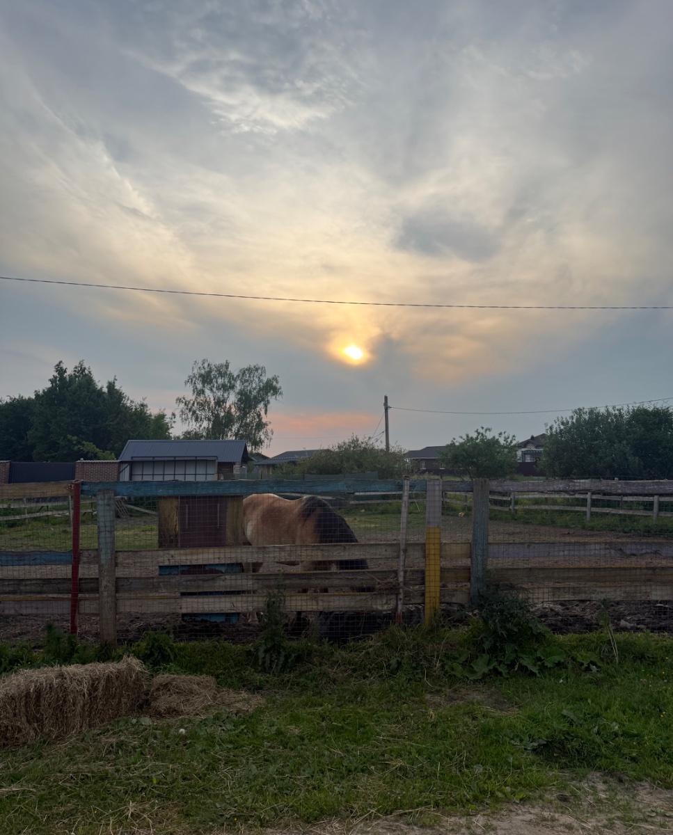 IMG_8762.jpeg