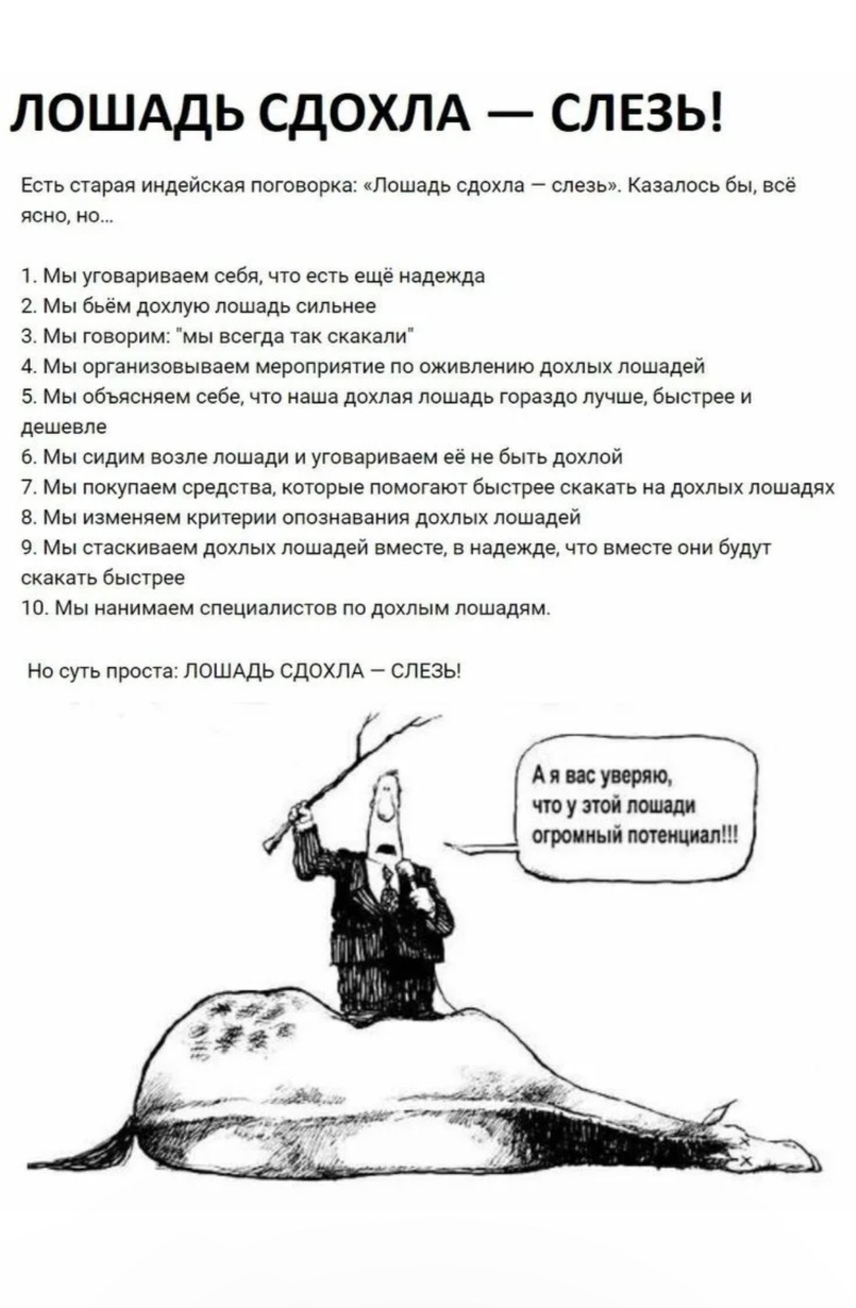 IMG_8851.jpeg