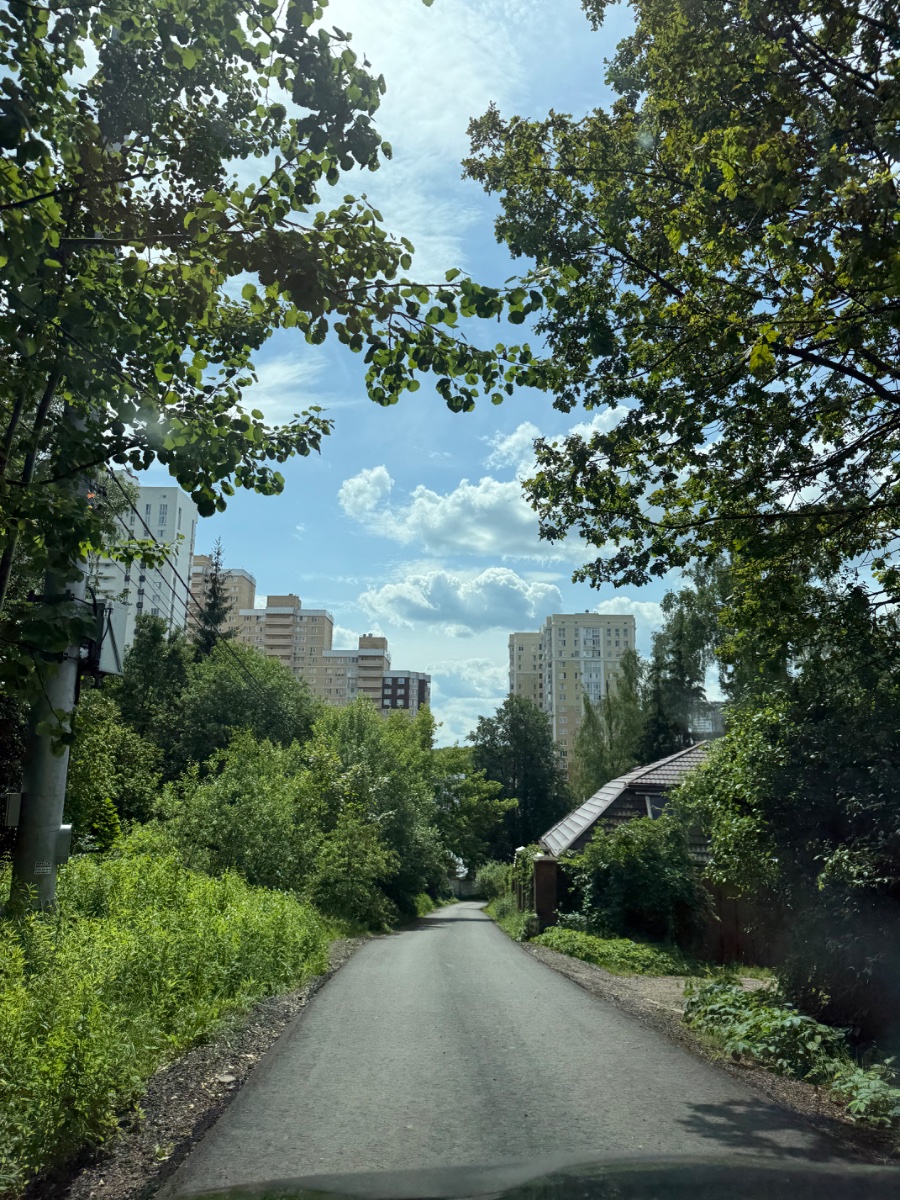 IMG_8880.jpeg