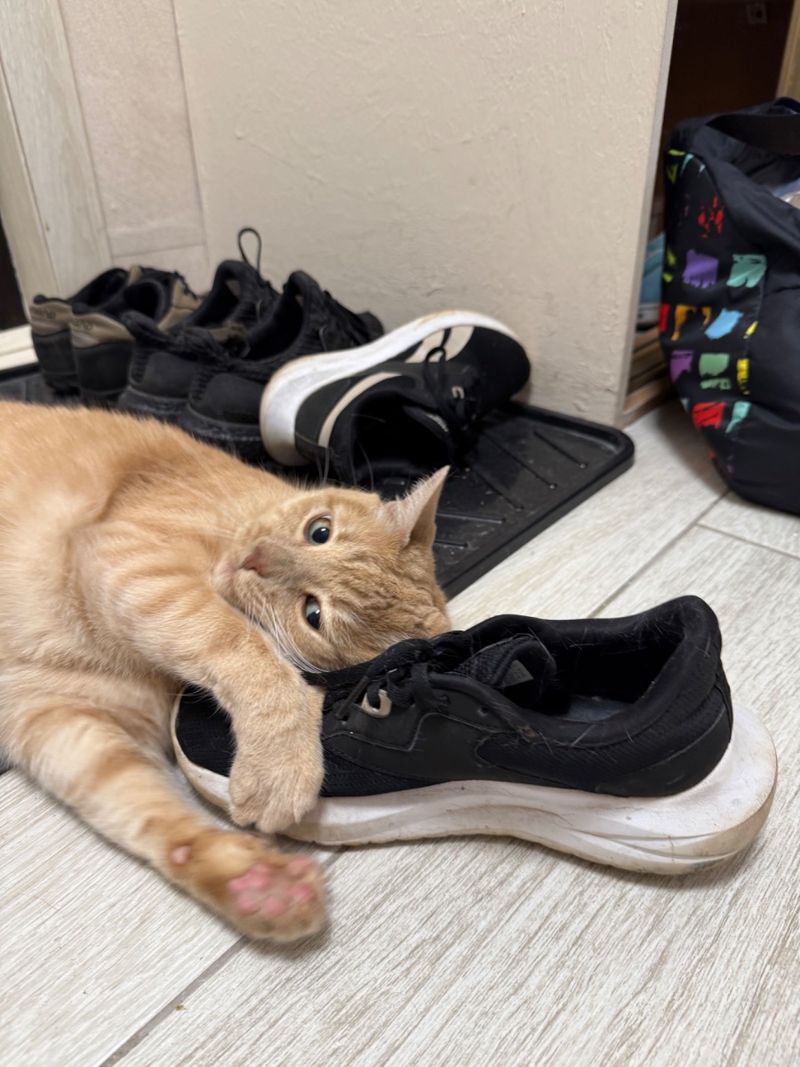 IMG_8924.jpeg