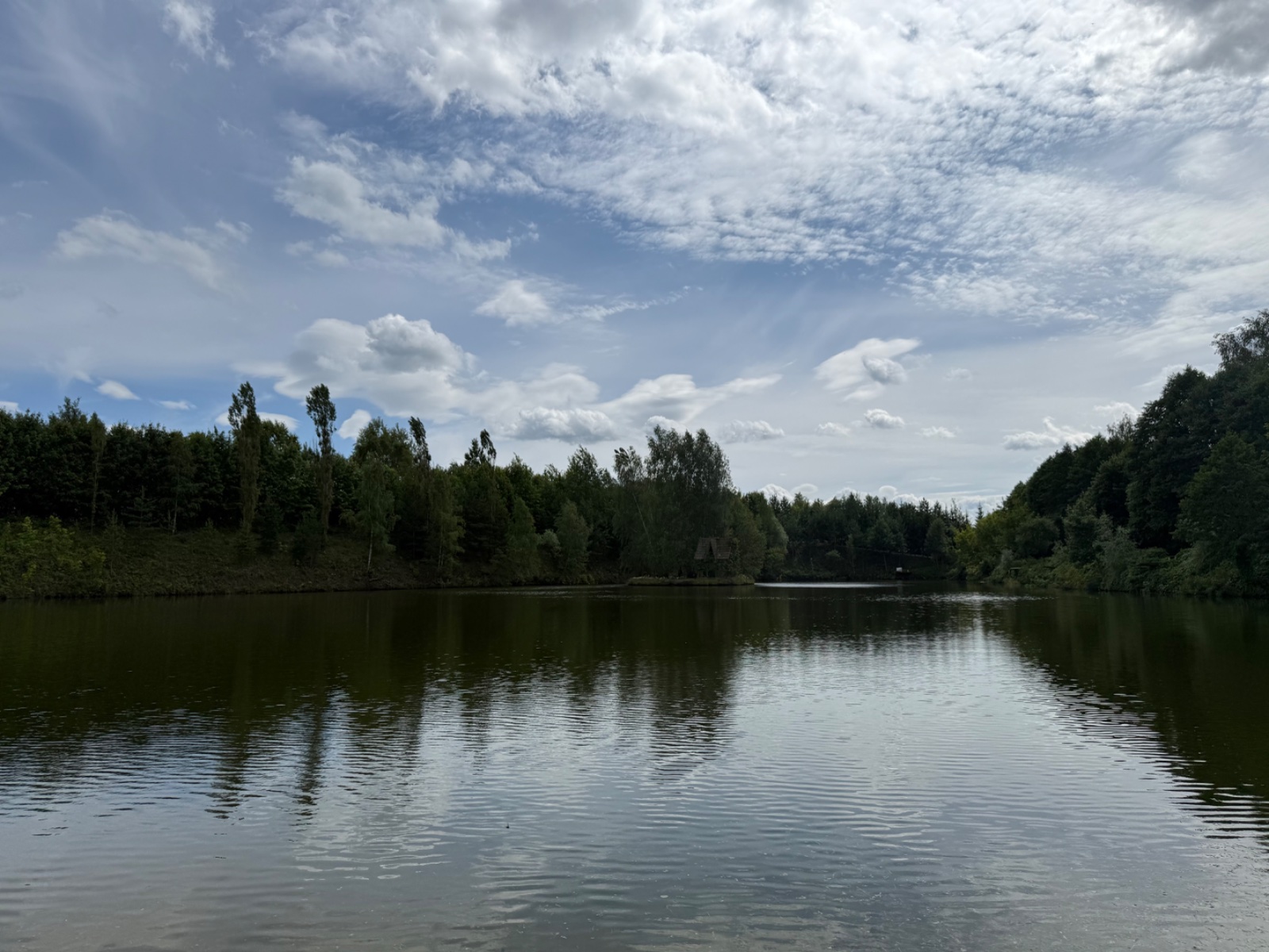 IMG_9108.jpeg