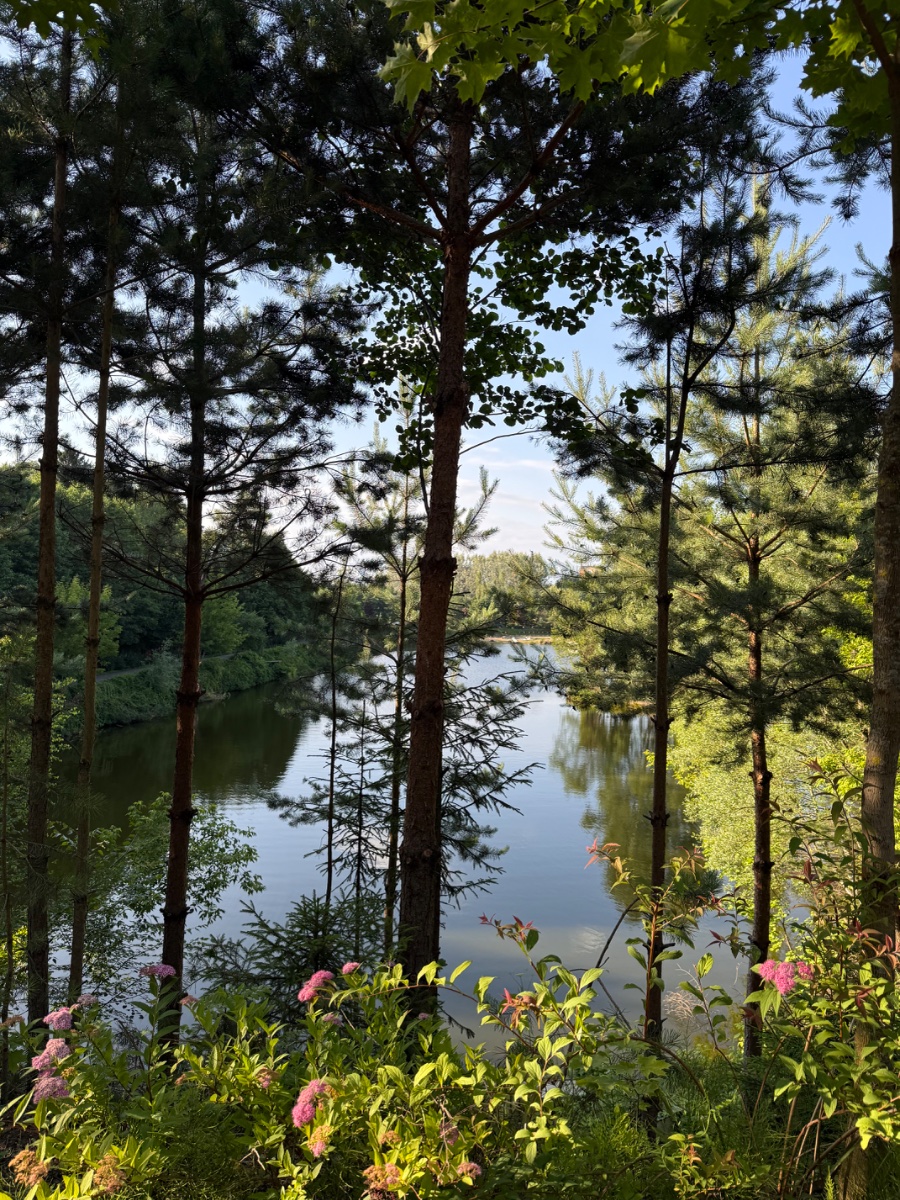 IMG_9149.jpeg