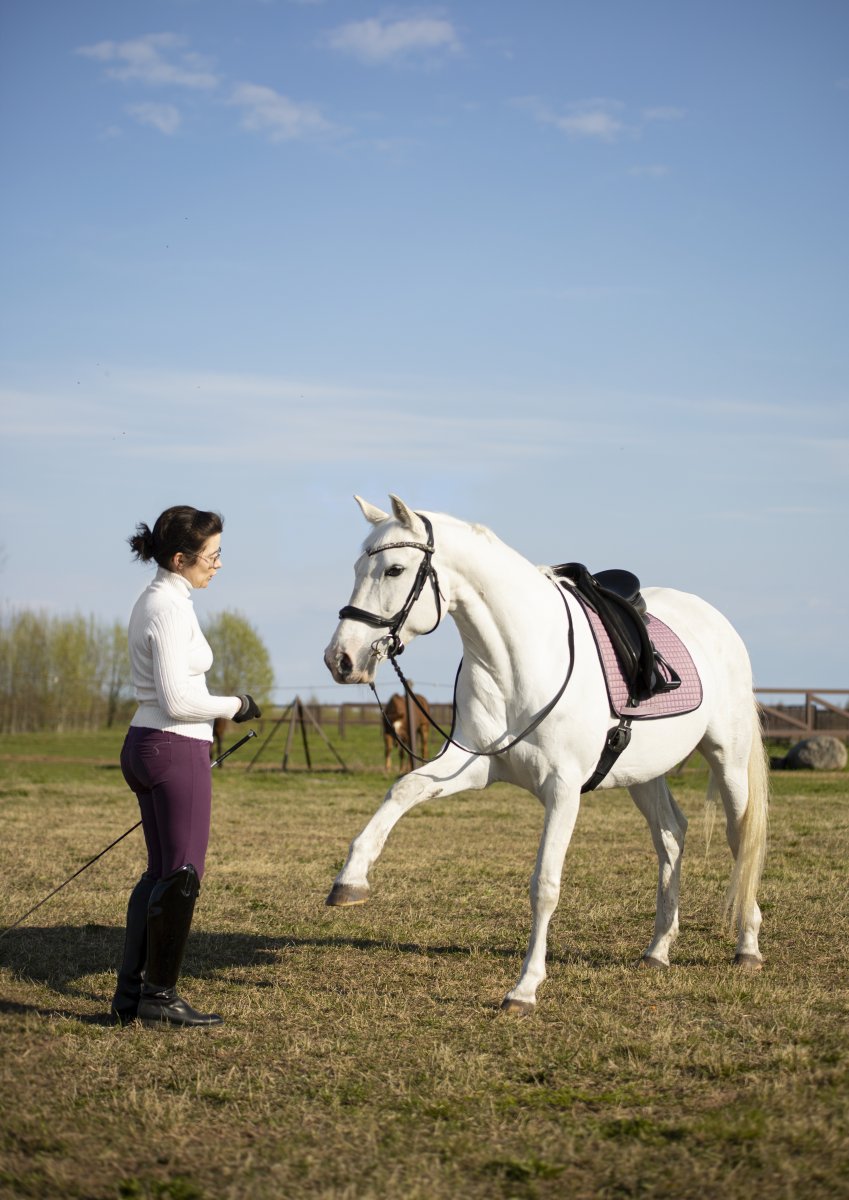 IMG_9226и.jpg IMG_9226и.jpg