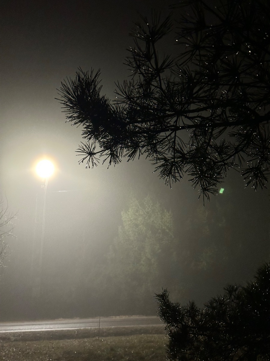 IMG_9302.jpeg