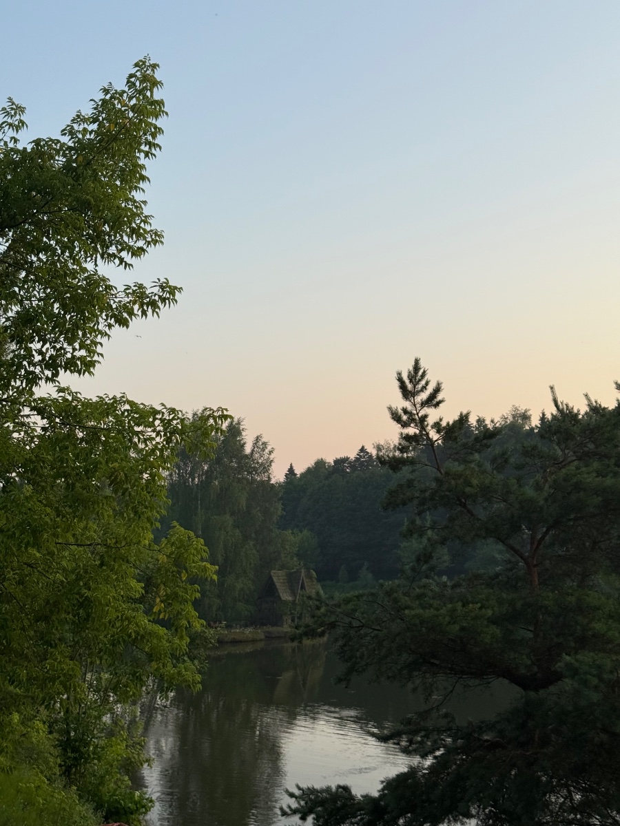 IMG_9305.jpeg