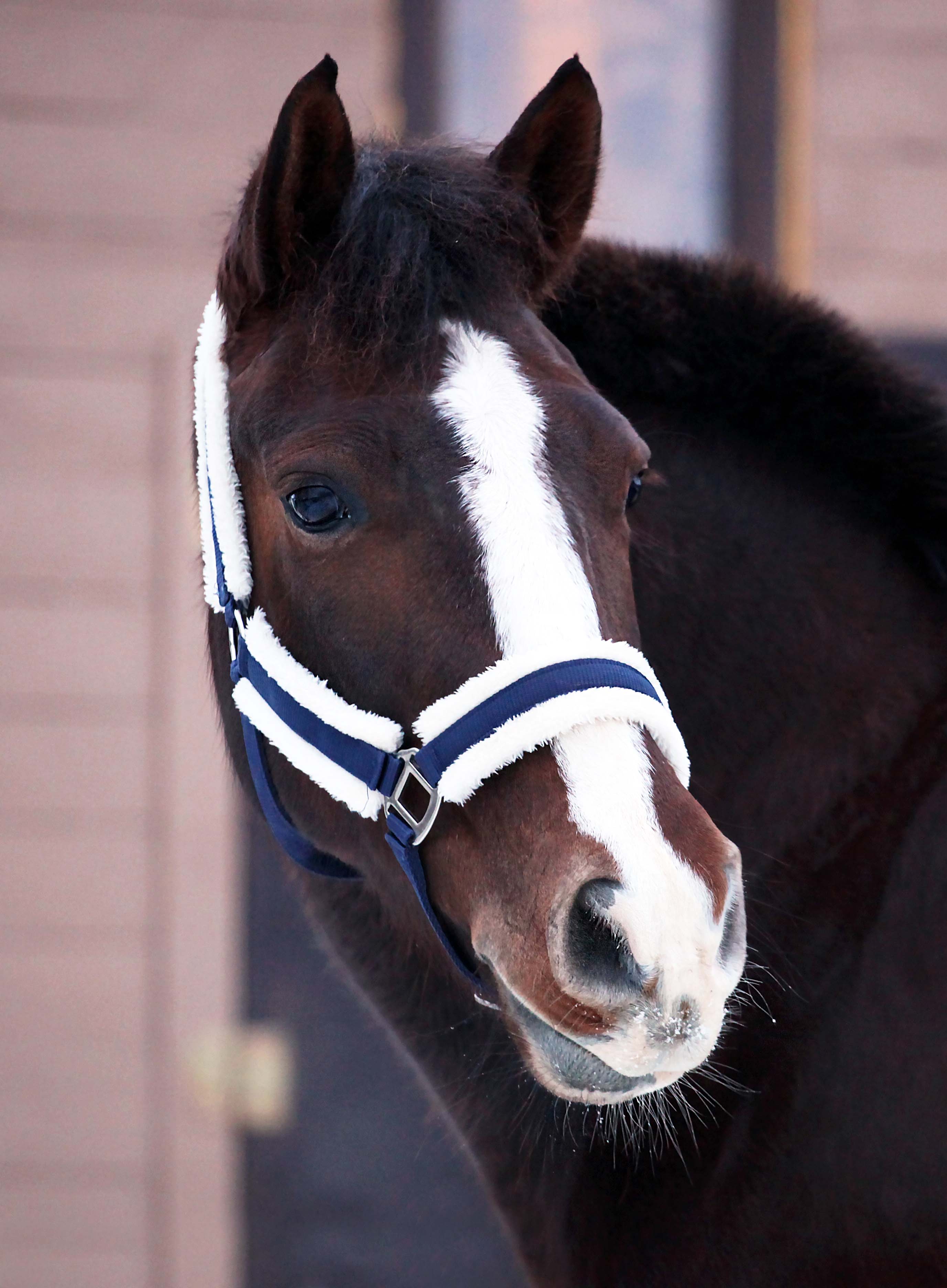 IMG_9430 копия.jpg