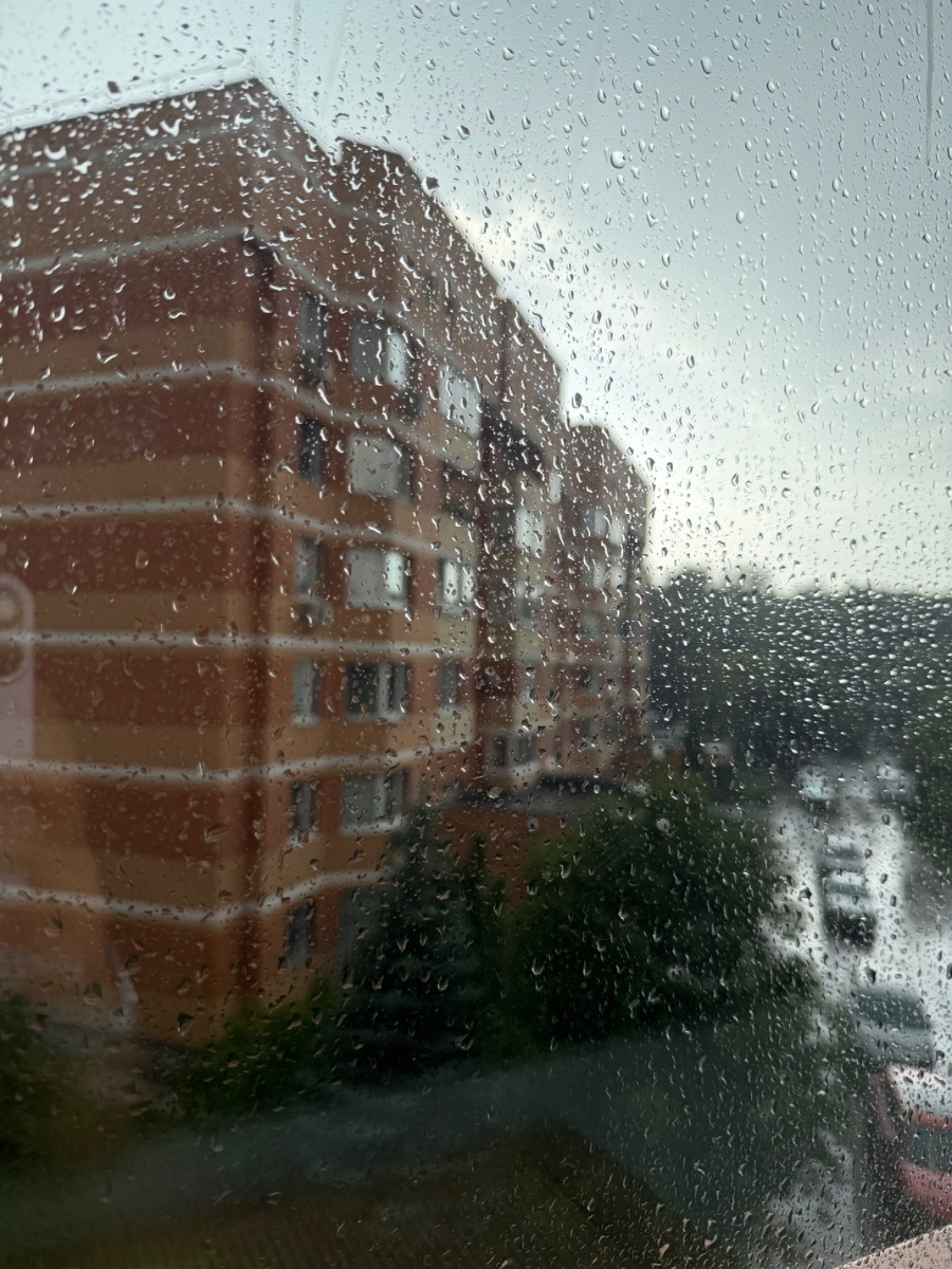 IMG_9433.jpeg