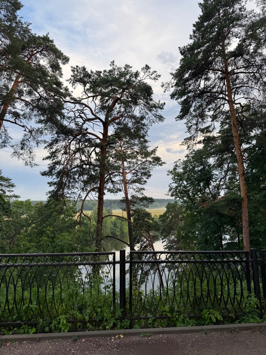 IMG_9481.jpeg