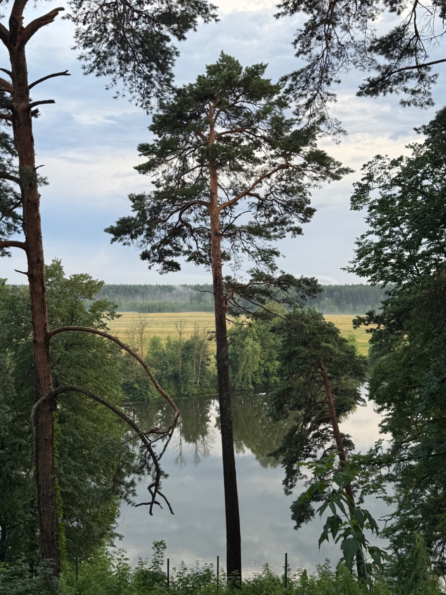 IMG_9485.jpeg