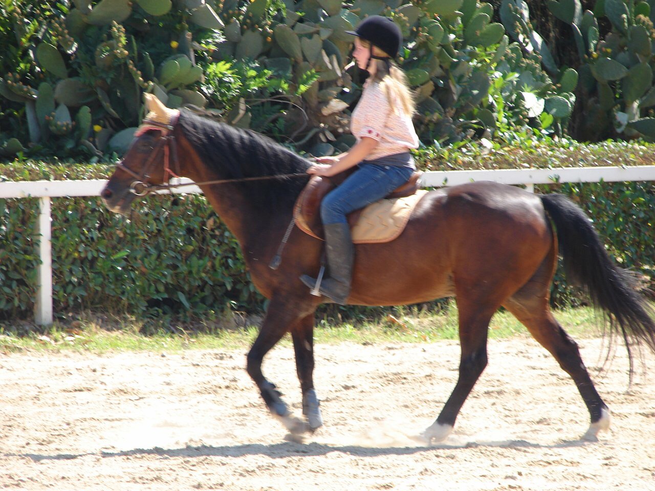 IMG_9509.JPG
