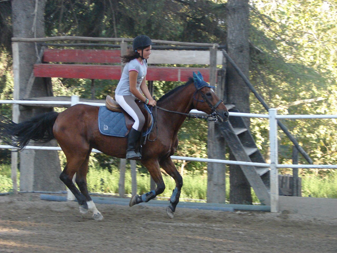 IMG_9511.JPG
