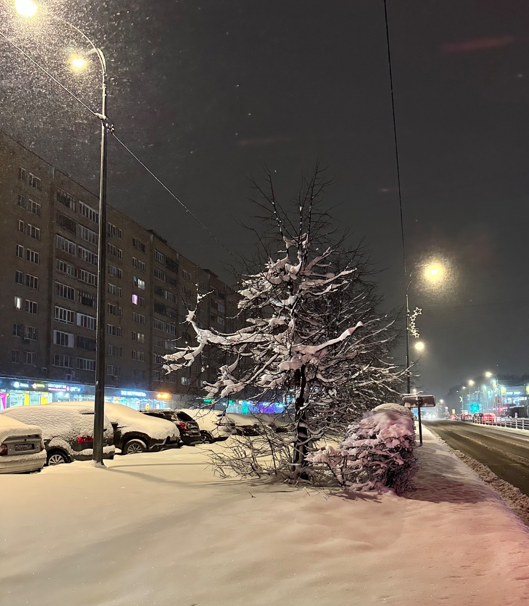 IMG_9554.jpeg