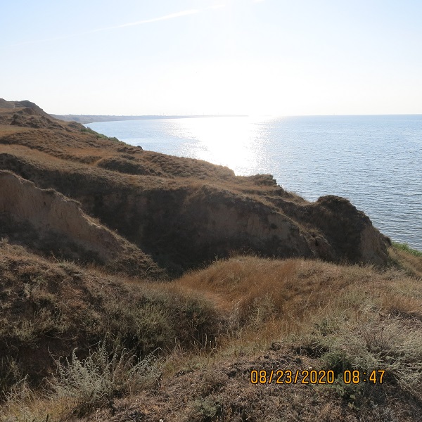 IMG_9568.JPG