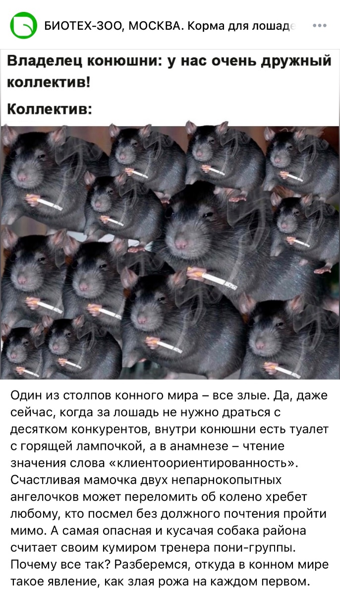 IMG_9576.jpeg